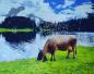 Preview: Diamond Painting Arnisee