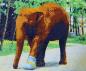 Preview: Diamond Painting "Thai Koon"
