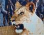 Preview: Diamond Painting "Löwin"
