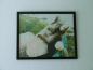Preview: Diamond Painting "Mittags in Umani Springs"