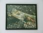 Preview: Diamond Painting "Siedleragame Weibchen"