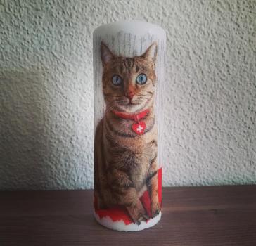 Kerze Schweizer Katze