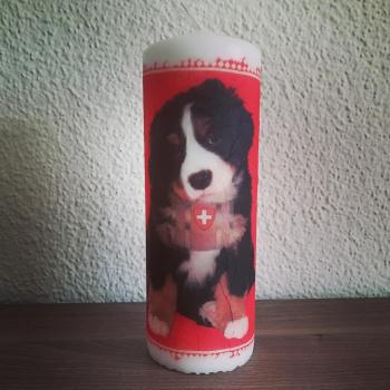 Kerze Sennenhund Welpe