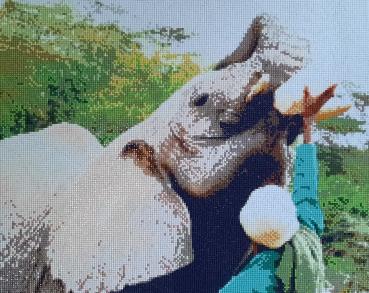Diamond Painting "Mittags in Umani Springs"
