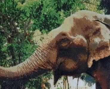 Diamond Painting "Happy Elephant"