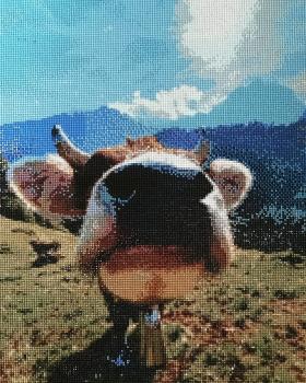 Diamond Painting 