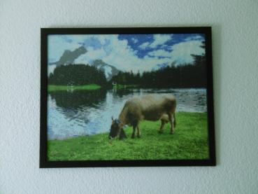 Preview: Diamond Painting Arnisee