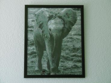 Diamond Painting Wiva