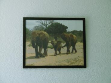 Diamond Painting "Nasalot mit Nusu"