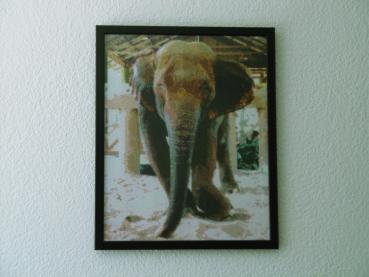 Diamond Painting Kabu