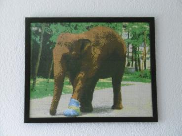 Diamond Painting "Thai Koon"