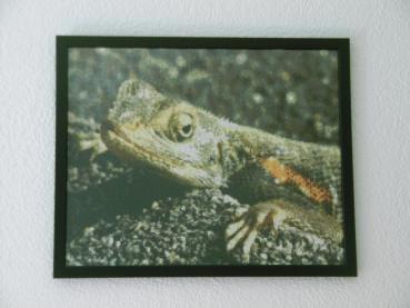 Preview: Diamond Painting 