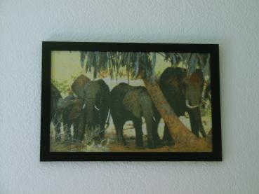 Diamond Painting "Elefanten unter Palmen"