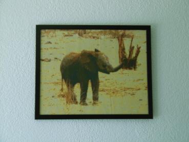 Preview: Diamond Painting 