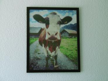 Diamond Painting "Sittlisalp"