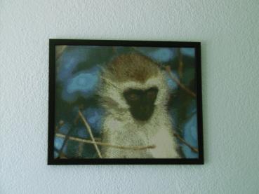 Preview: Diamond Painting "Grüne Meerkatze"