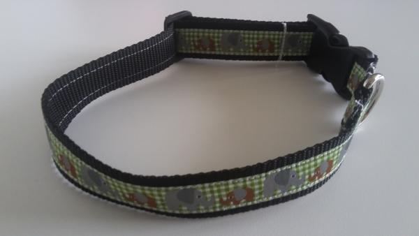 Hundehalsband 3