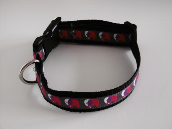 Hundehalsband 8