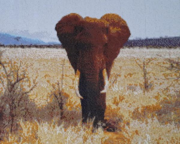 Diamond Painting "Tsavo Elefant"