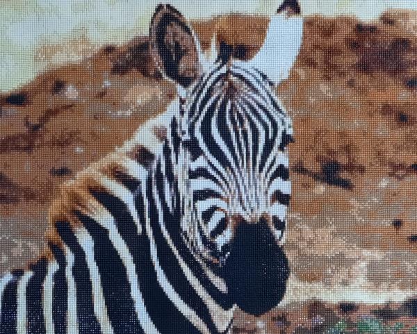 Diamond Painting "Zebra"