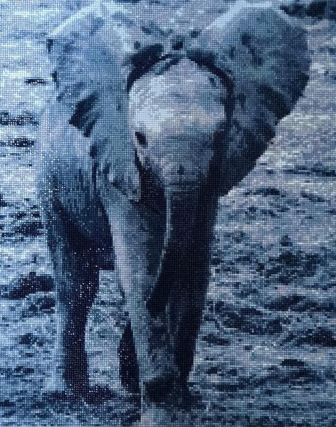 Diamond Painting Wiva