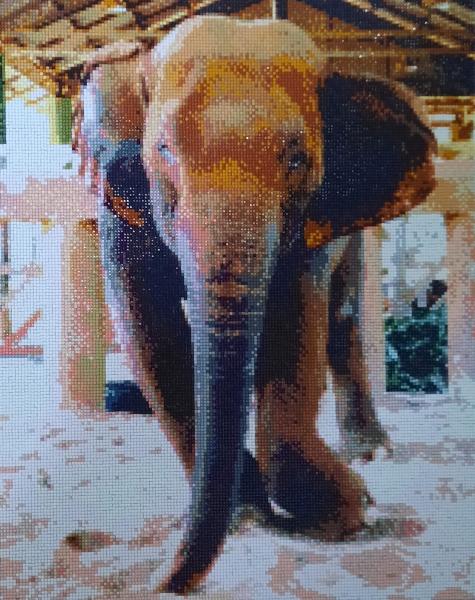 Diamond Painting Kabu