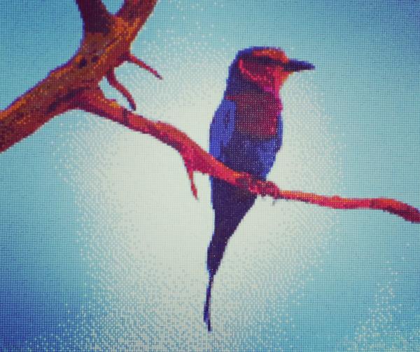 Diamond Painting "Gabelracke"