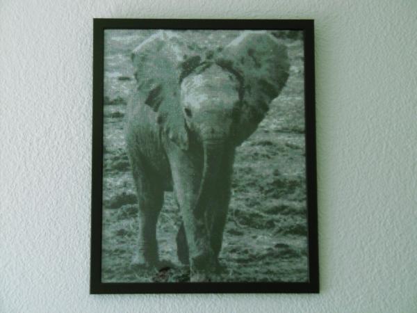 Diamond Painting Wiva