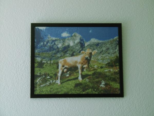 Diamond Painting Gitschitaler Boden