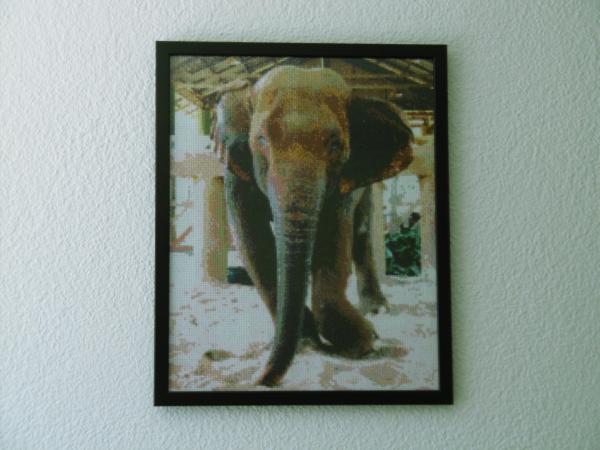 Diamond Painting Kabu