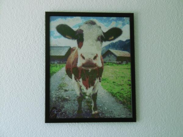 Diamond Painting "Sittlisalp"