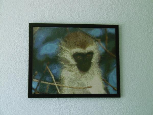 Diamond Painting "Grüne Meerkatze"