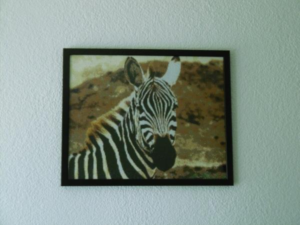 Diamond Painting "Zebra"